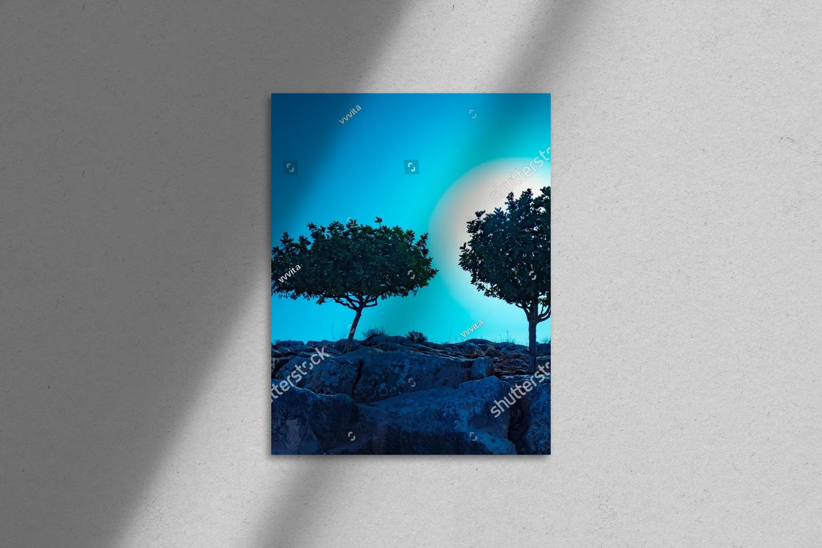 Olive Trees Under a Starry Sky