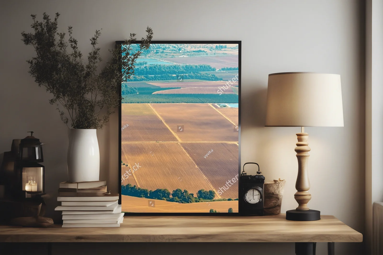 Olive Groves and Fields: A Landscape of Tranquility