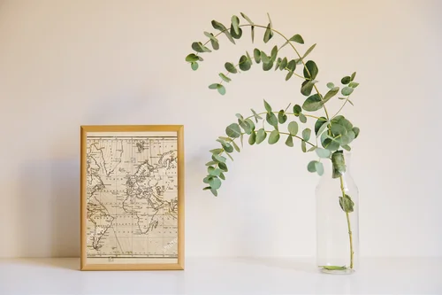 Autentyczna mapa świata z epoki 19 wieku
