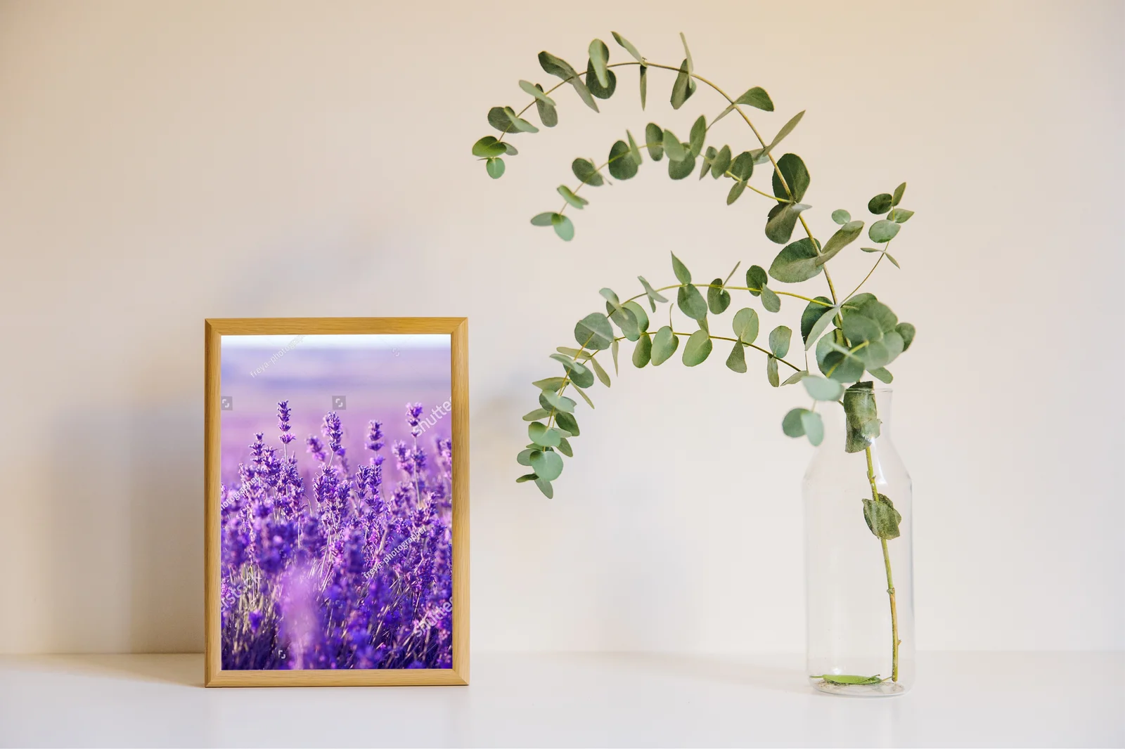 Letnie pola lawendy w harmonijnych barwach