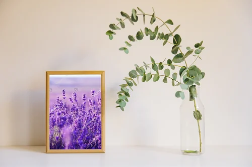 Letnie pola lawendy w harmonijnych barwach
