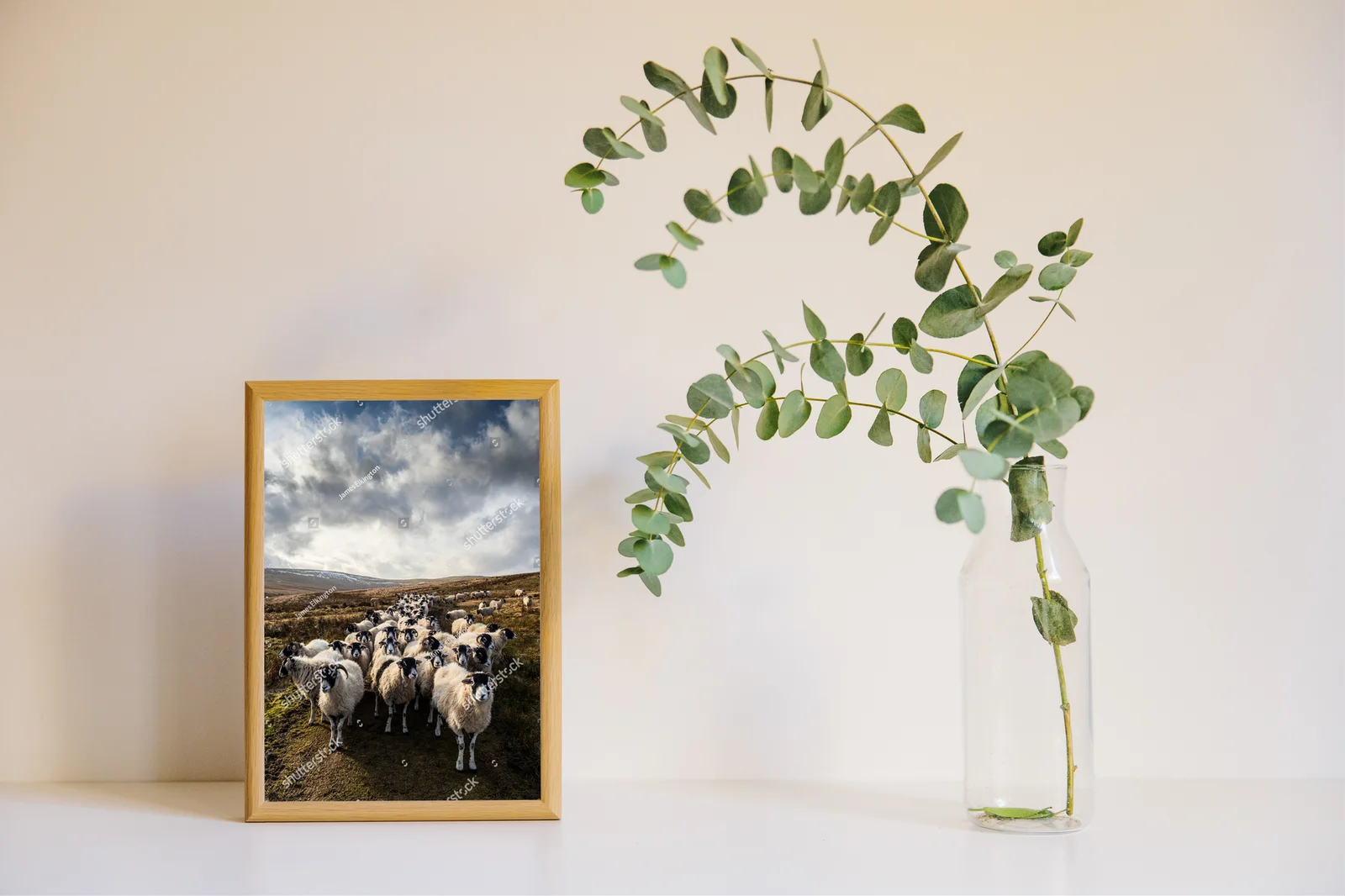 Fascynujący krajobraz z owcami w Yorkshire Dales