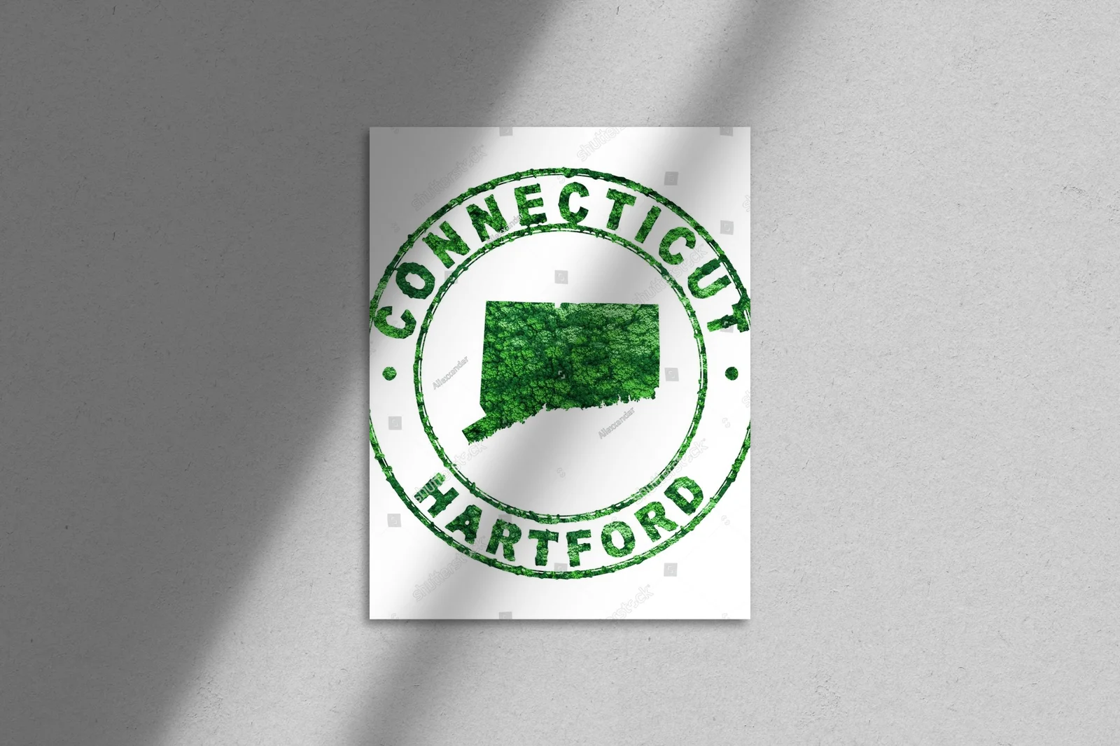 Ekologiczna kompozycja Connecticut w białych tonach