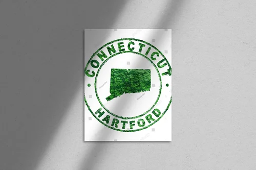 Ekologiczna kompozycja Connecticut w białych tonach