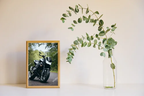 Czarne motocyklowe marzenia w leśnym szlaku
