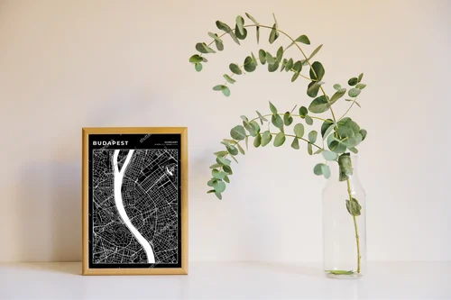 Zjawiskowa Mapa Budapesztu w Monochromatycznych Barwach