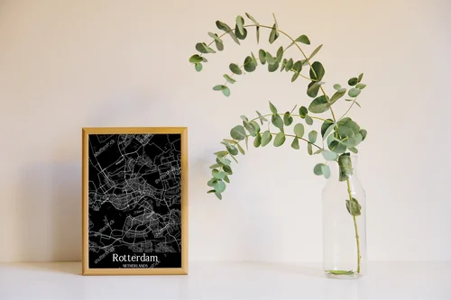 Monochromatyczna mapa Rotterdamu w eleganckich barwach