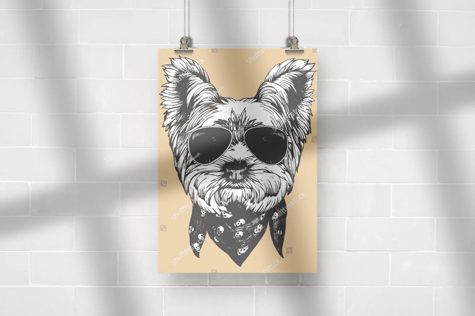 Urokliwy Yorkshire Terrier w trendy stylu