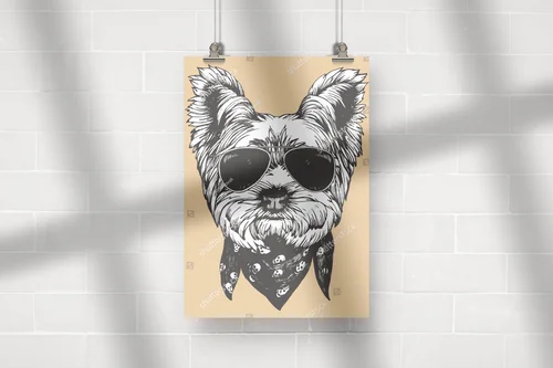 Urokliwy Yorkshire Terrier w trendy stylu