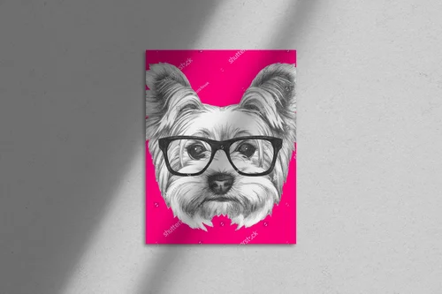 Uroczy Yorkshire Terrier w modnych okularach