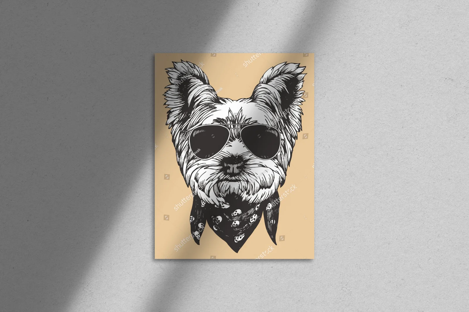 Urokliwy Yorkshire Terrier w trendy stylu
