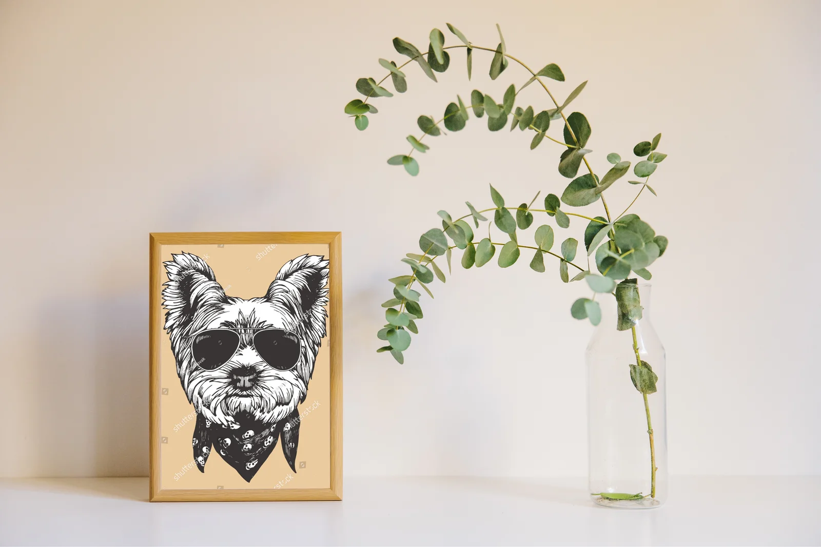 Urokliwy Yorkshire Terrier w trendy stylu