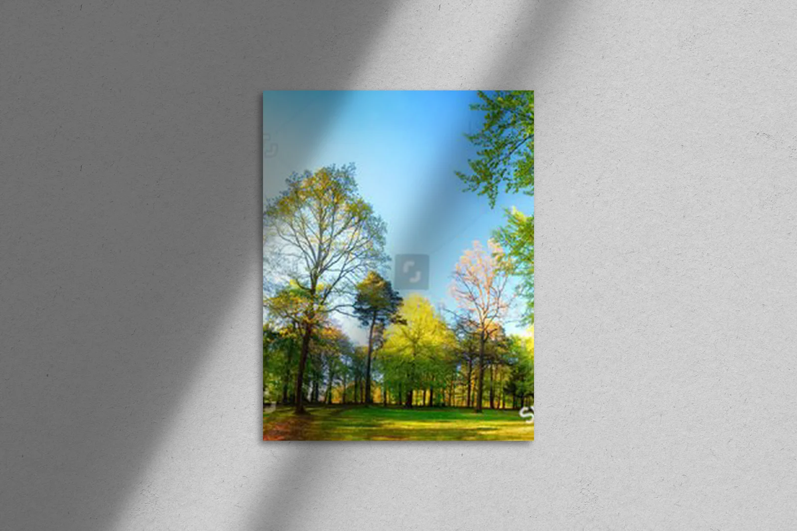 Zachwycająca wiosenna panorama leśnych scenerii