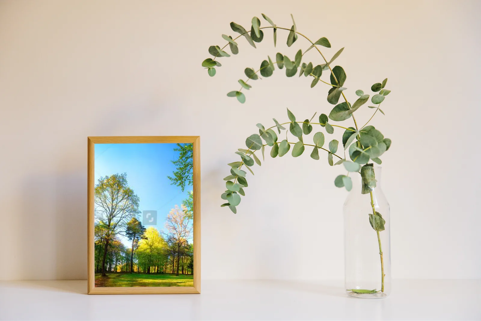 Zachwycająca wiosenna panorama leśnych scenerii