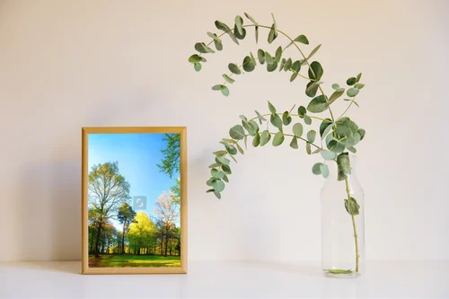 Zachwycająca wiosenna panorama leśnych scenerii