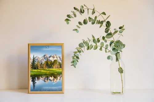 Malowniczy widok na pasmo górskie Grand Teton