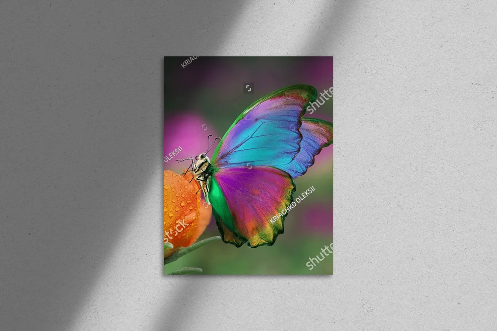 Kolorowy motyl na pomarańczowym kwiecie