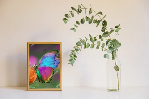 Kolorowy motyl na pomarańczowym kwiecie