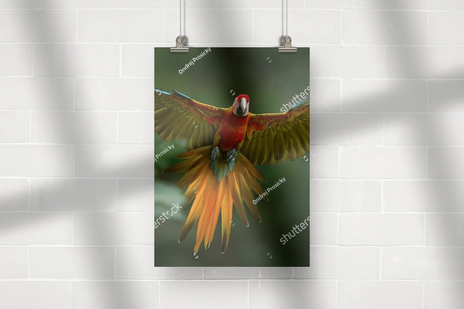Ekspresyjny taniec parrotów w tropikalnej scenerii
