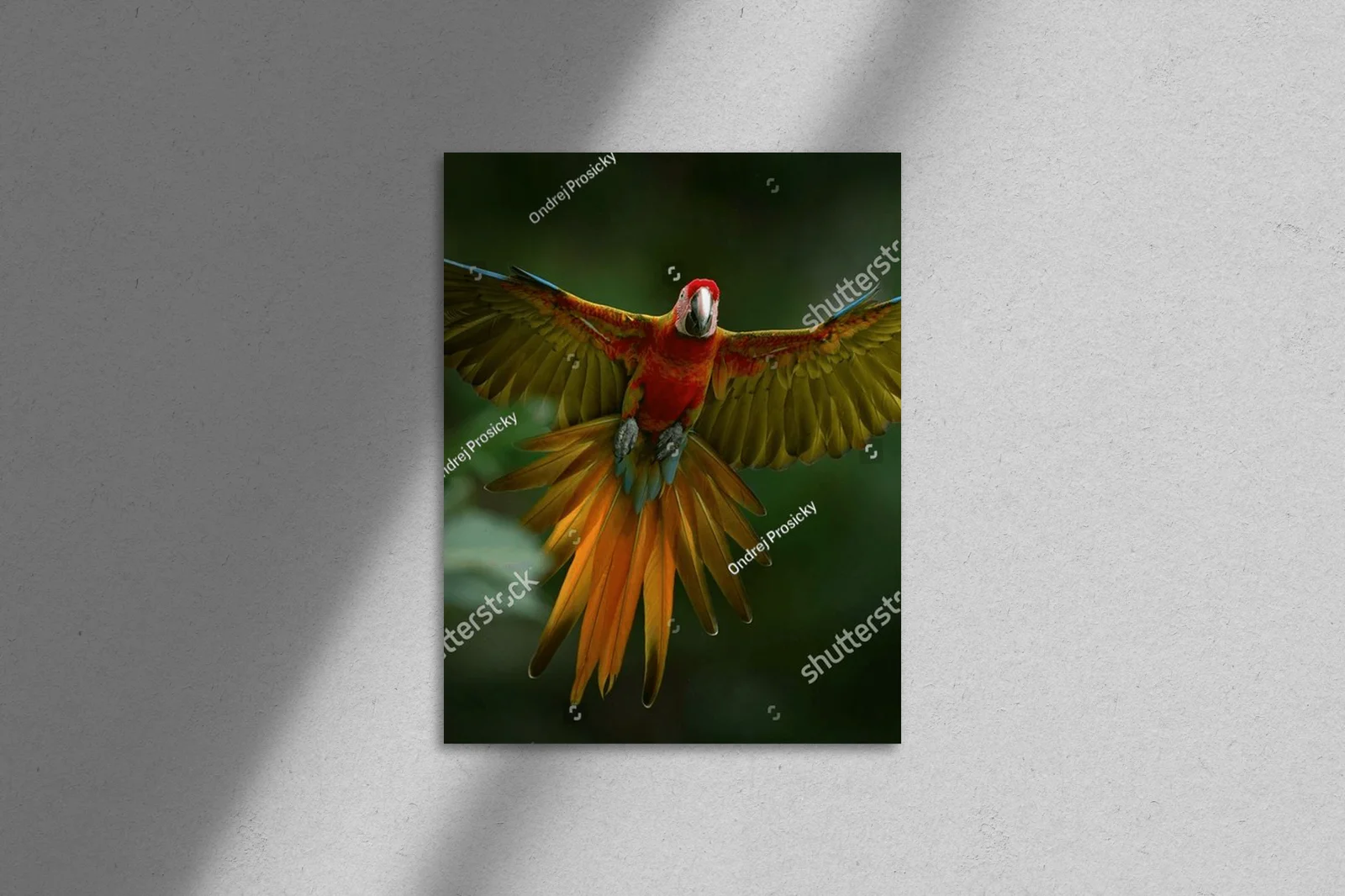 Ekspresyjny taniec parrotów w tropikalnej scenerii