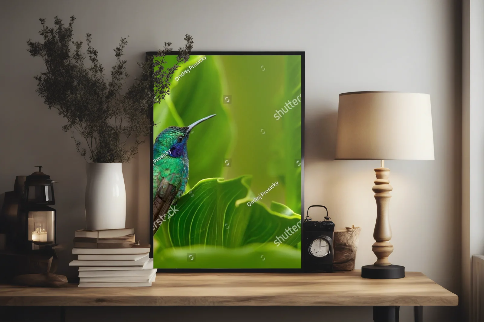Ekscytujący świat panamskich kolibrów w zieleni