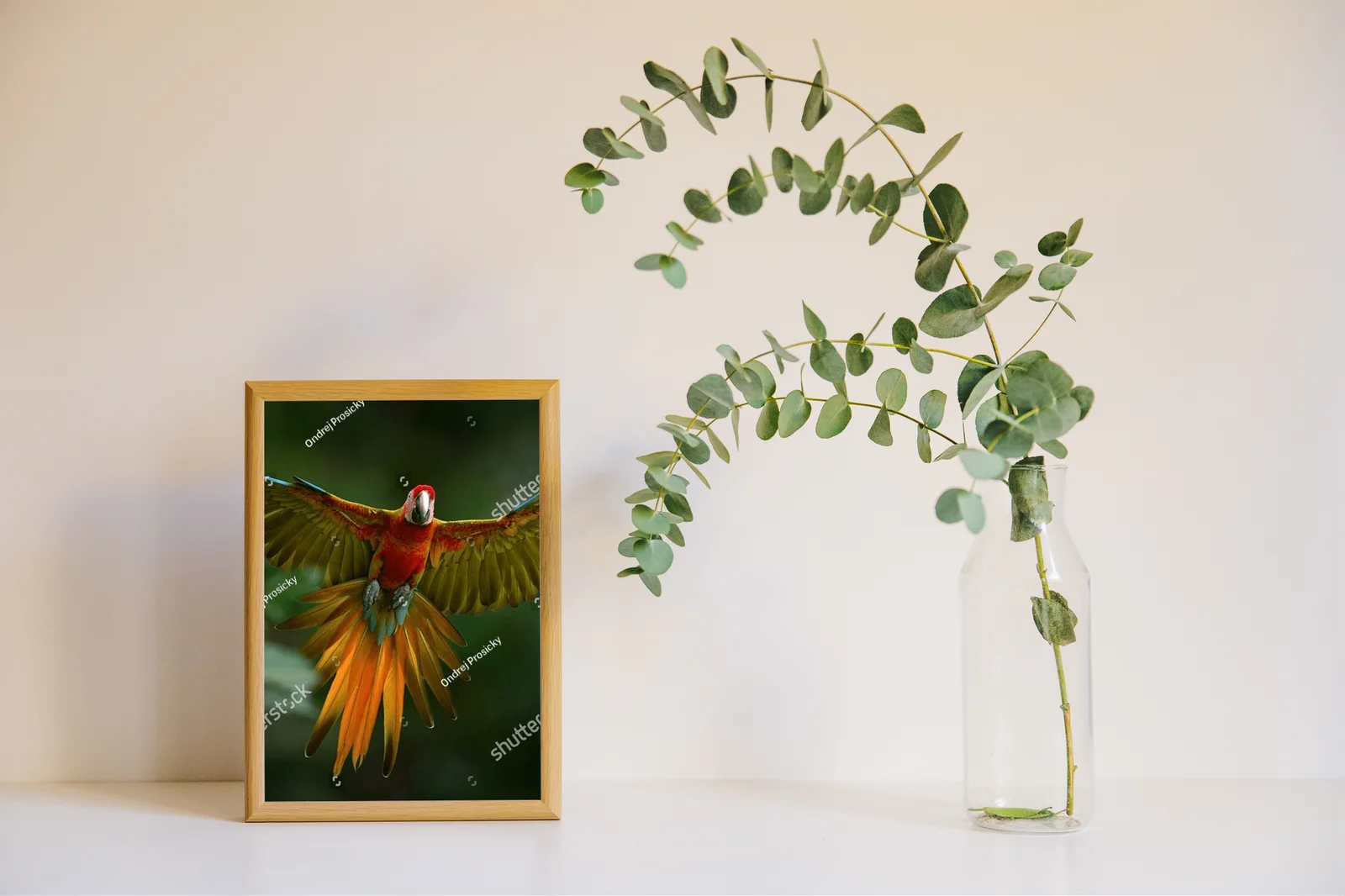 Ekspresyjny taniec parrotów w tropikalnej scenerii