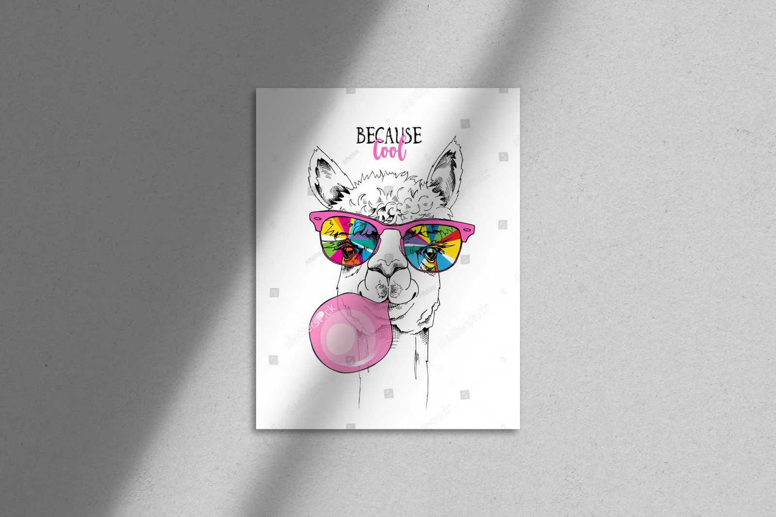 Funky lama w tęczowych okularach i różowej gumie