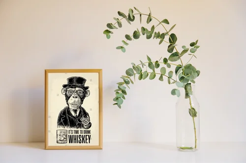 Elegancki małpki w retro klimacie z nutą nostalgii