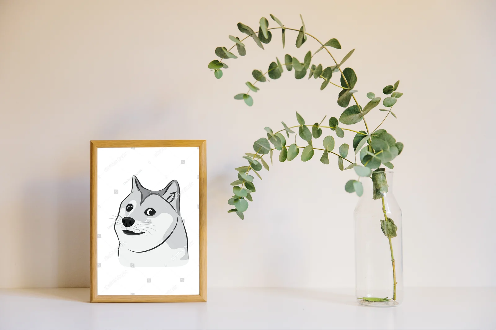 Wesoły Shiba Inu w urzekających kolorach