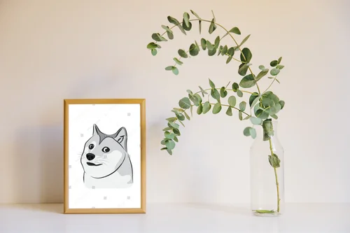 Wesoły Shiba Inu w urzekających kolorach