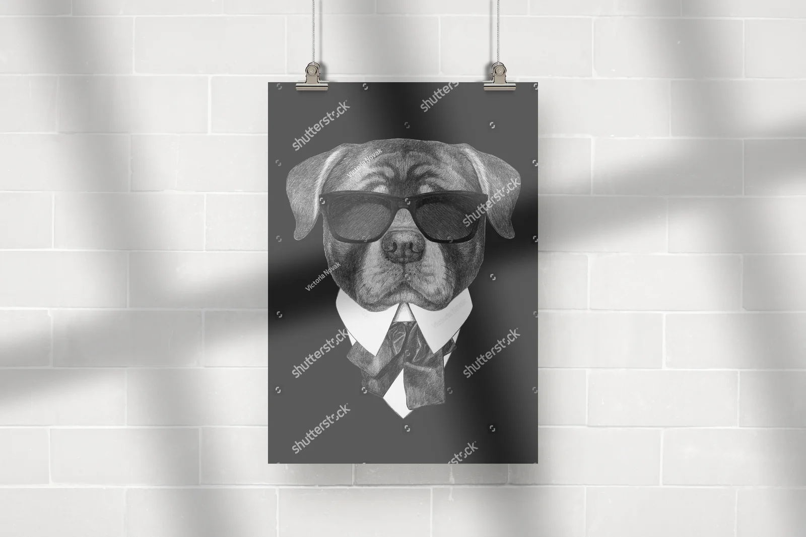 Elegancki Rottweiler w retro stylu