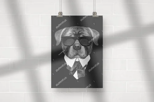 Elegancki Rottweiler w retro stylu