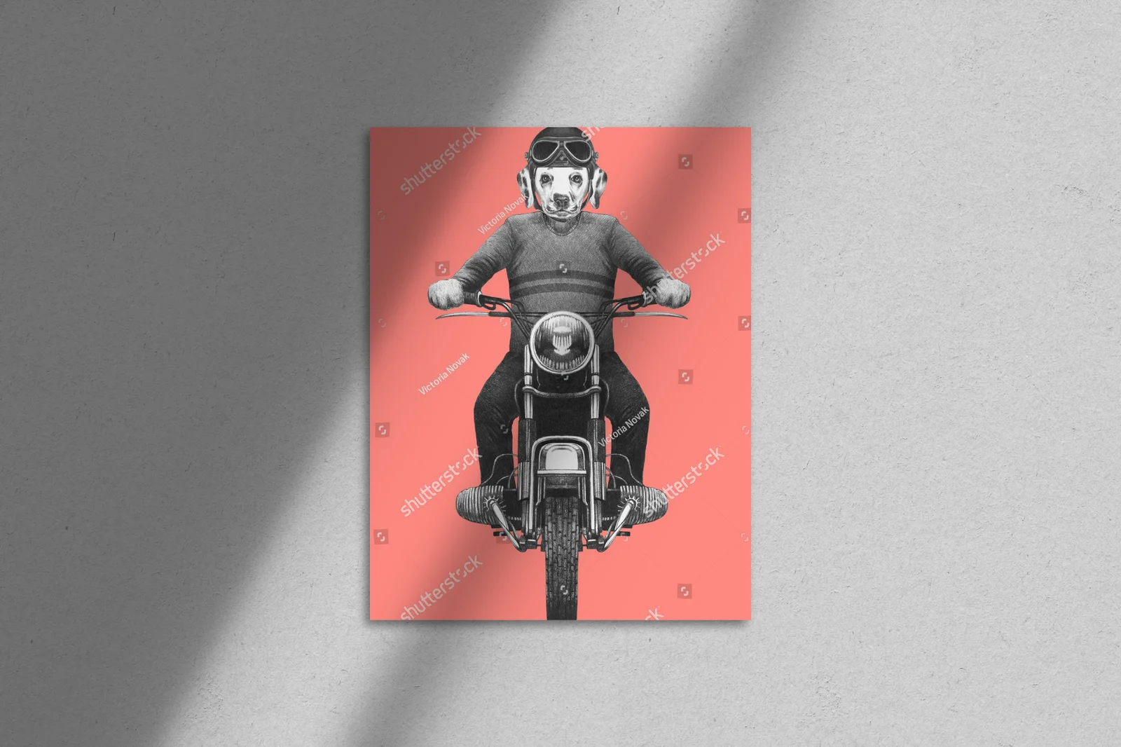 Wesoły dalmatyńczyk na motorze w retro stylu
