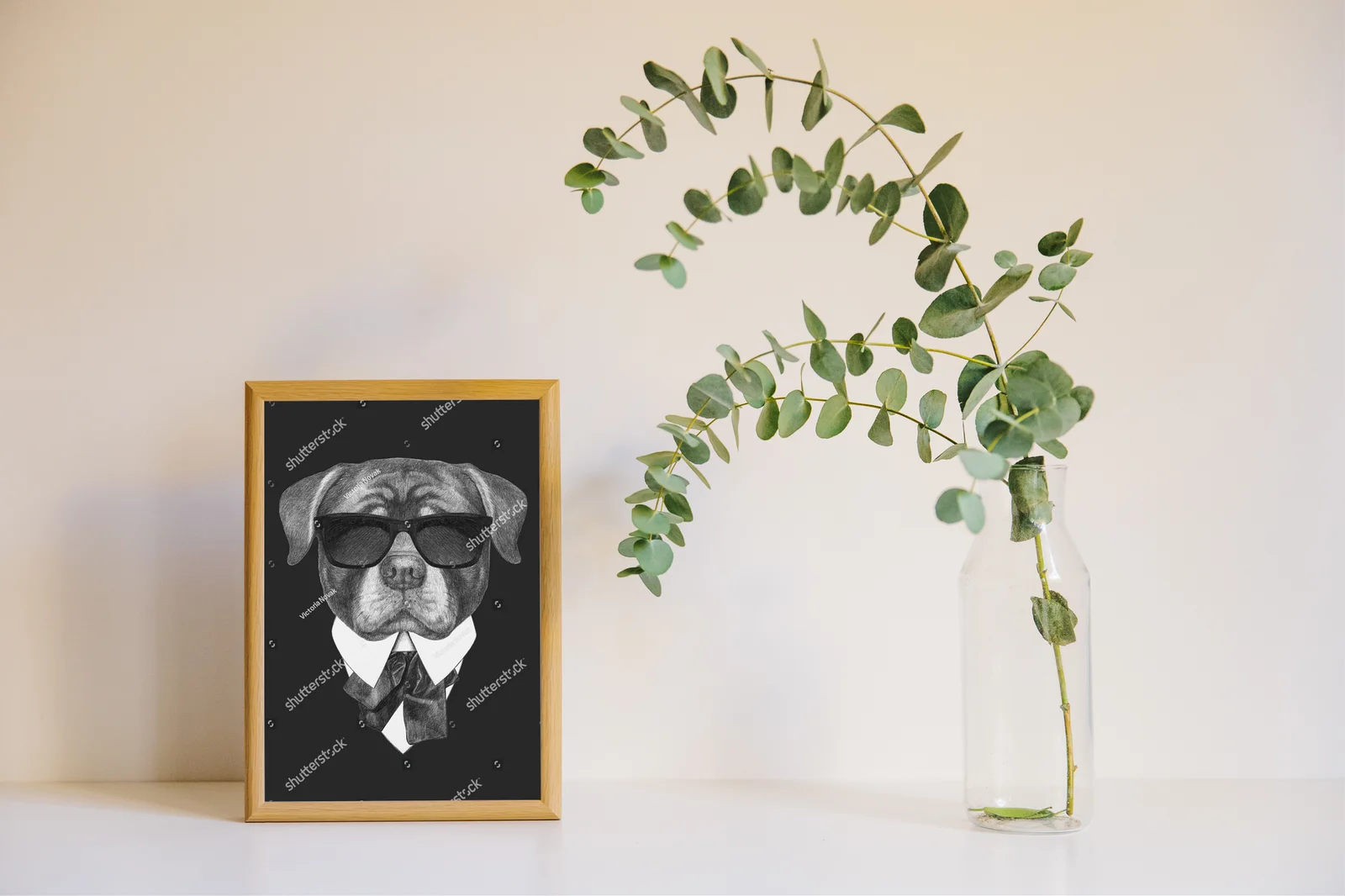 Elegancki Rottweiler w retro stylu