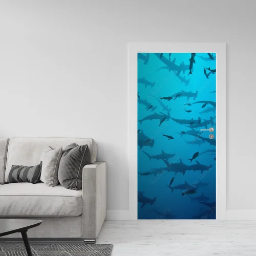 Zjawiskowe odcienie oceanu z młotowcem