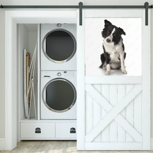 Słodkie spojrzenie border collie w białych tonach