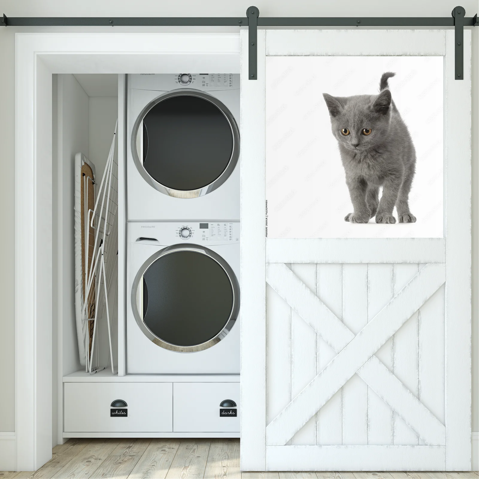 Urok Chatona Chartreux w subtelnej bieli