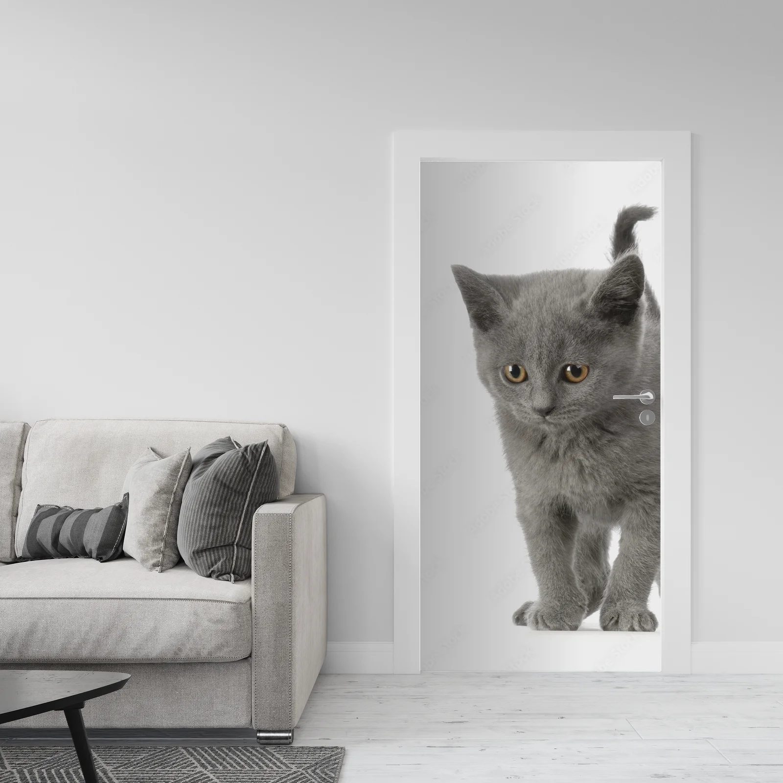 Urok Chatona Chartreux w subtelnej bieli