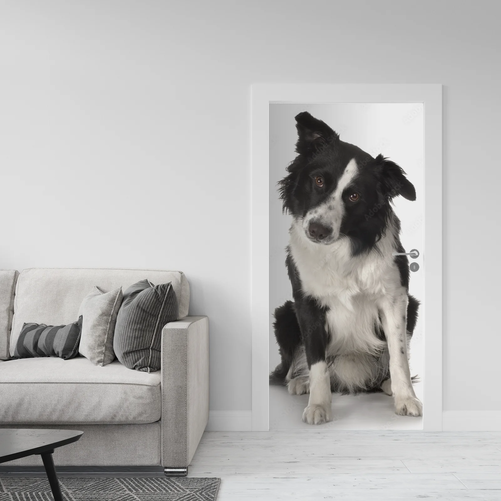 Słodkie spojrzenie border collie w białych tonach