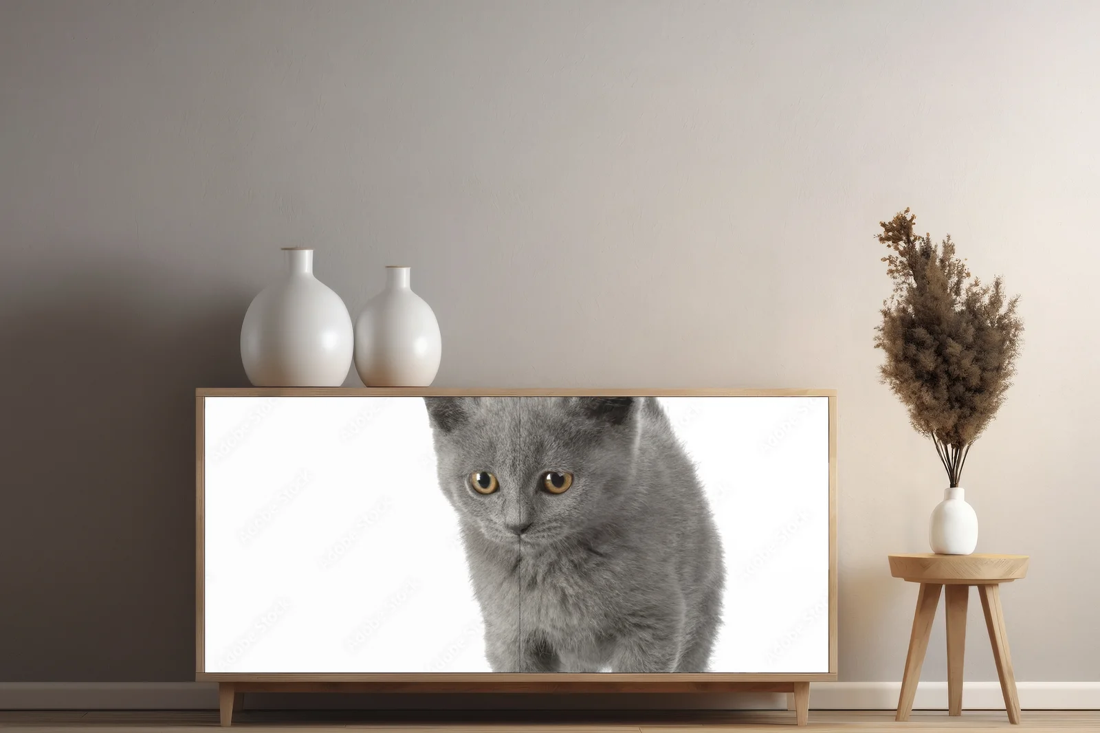 Urok Chatona Chartreux w subtelnej bieli