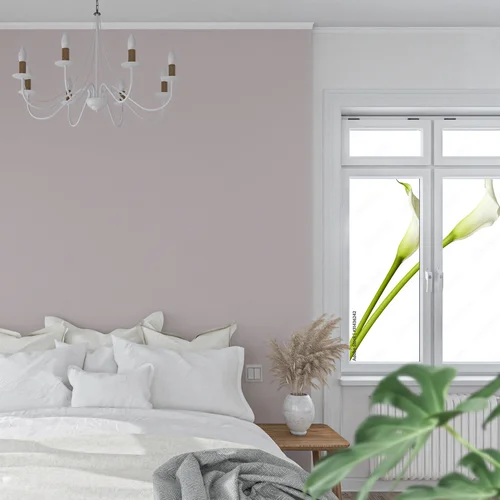 Elegancka biel lilii w pełnej chwale
