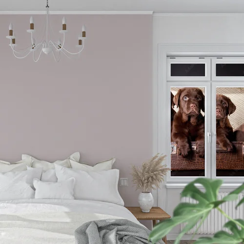 Cztery urocze szczenięta Labradorów w vintage walizce