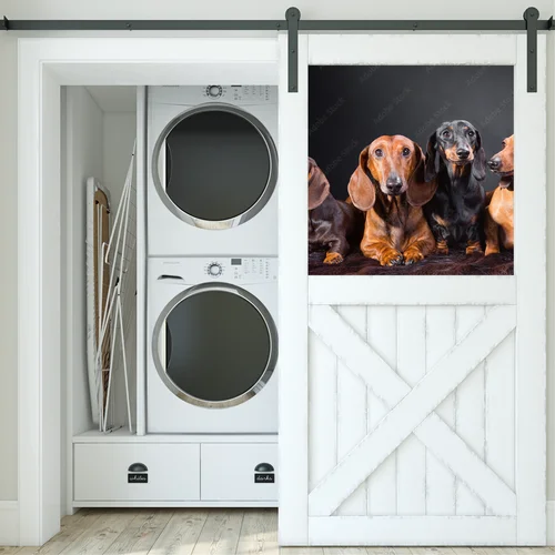 Cztery urocze dachshundy w tajemniczym otoczeniu