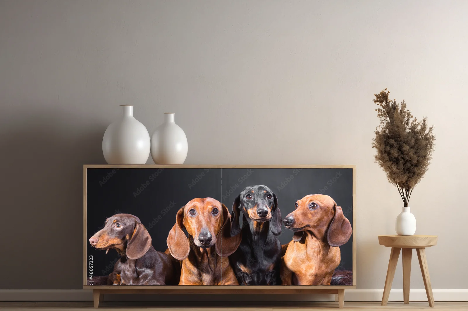 Cztery urocze dachshundy w tajemniczym otoczeniu