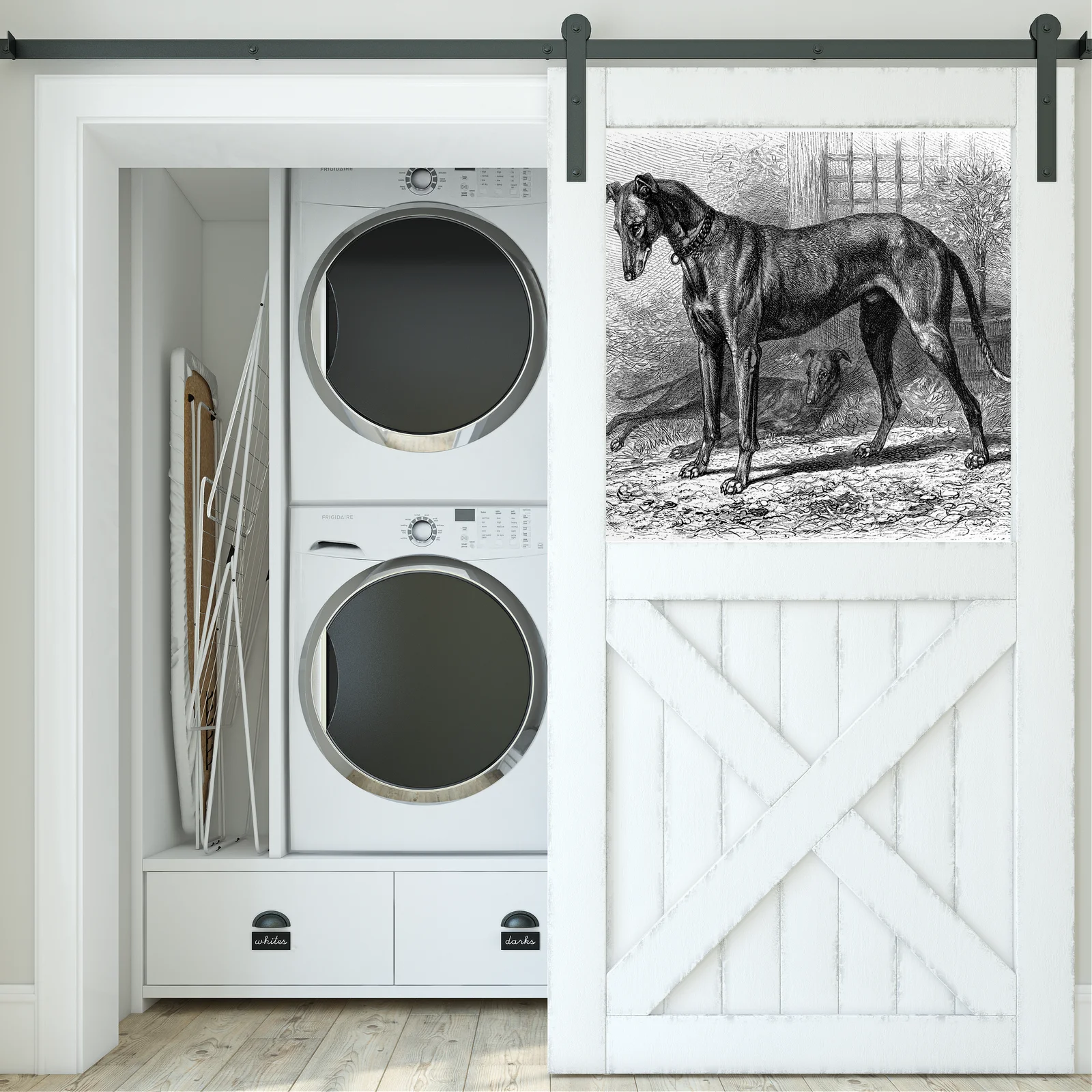 Elegancja Greyhoundów w białej harmonii