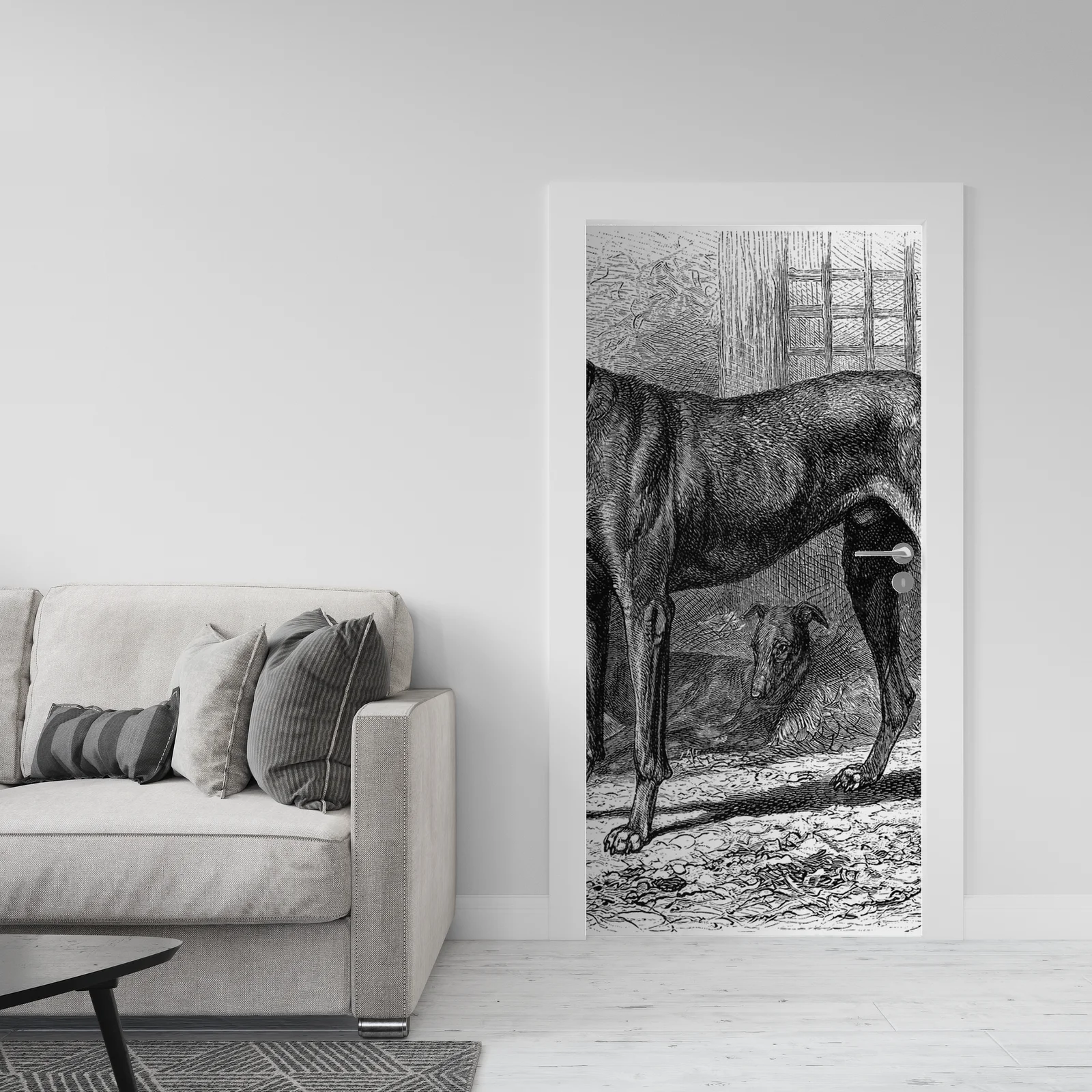 Elegancja Greyhoundów w białej harmonii