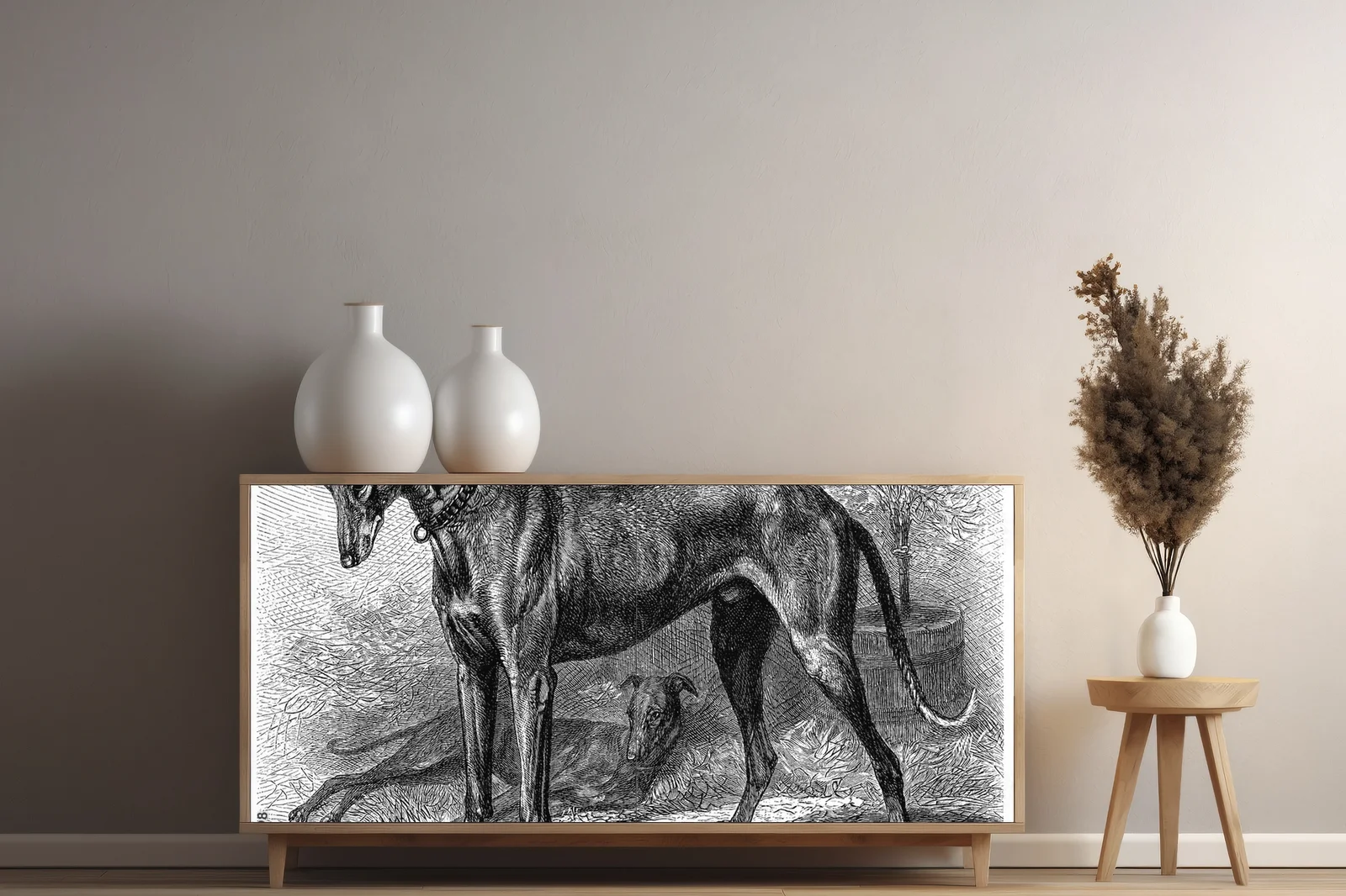 Elegancja Greyhoundów w białej harmonii