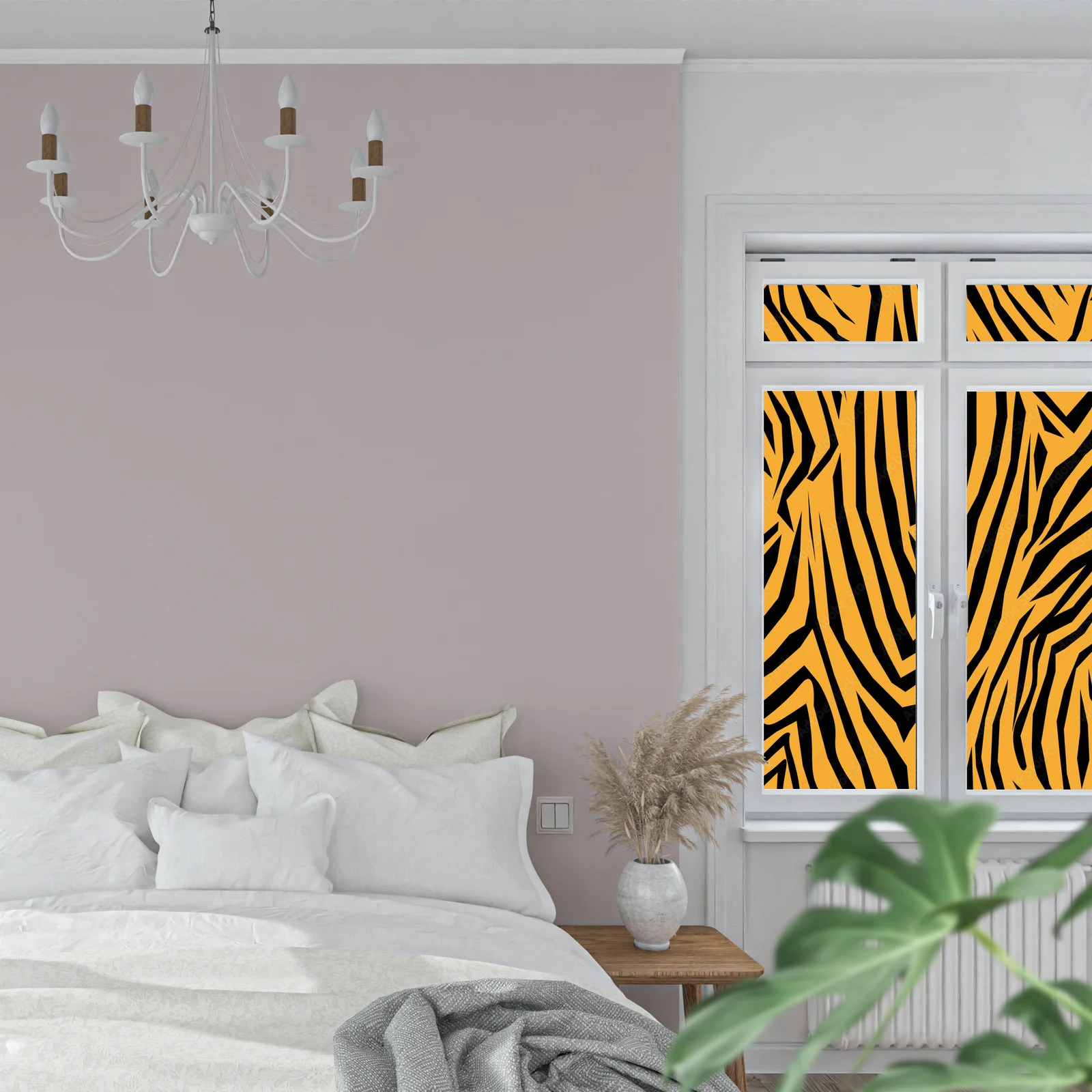 Zebra: Grał kolory natury w unikalnej aranżacji