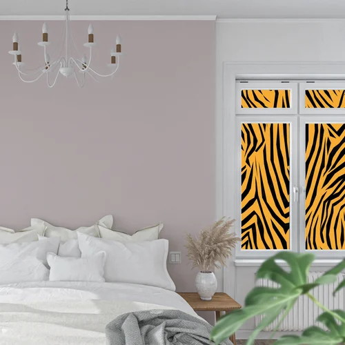Zebra: Grał kolory natury w unikalnej aranżacji