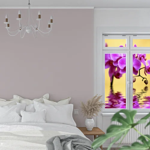 Orchidowa harmonia w promieniach słońca